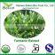 Organic Turmeric Finger Extract 95% Curcumin