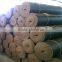 BSCI REACH Tested Coco Coir Roll