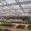 Hydroponics Agriculture Plastic Film Greenhouse