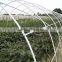 Tunnel greenhouse