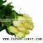 Hotsale fresh cut rose high quality fresh cut flowers blue roses vendela rose with 0.8_1.2kg/bundle from china