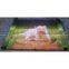 flexible curtain display