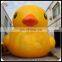 Hot selling inflatable donald duck, inflatable duck model, advertising cartoon character for sale