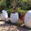 LORISO2062 Amusement park life size interactive dinosaur egg of rc dino