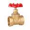 169 BRASS GATE VALVE 2 Inch Brass Check Valve For Mechanical Equipment