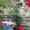 factory direct sale low cost felt 60 gallon planting bags