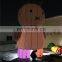 Attracting Adults and Kids Colorful LED Inflatable White Rabbit Cartoon Model For Event Evening Party,Commercial advertising