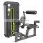 High Quality Commercial Bodybuilding Pin Load Fitness Equipment Back Extension for Club Training With Cheap Price