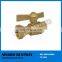 Economical Brass Ball Valve for Water Meter for Sale
