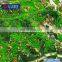 Geography definitions branches of physical 3d contour topographic architectural model