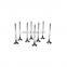 Auto Engine Intake Exhaust Valve OEM 96376881 For Chevrolet Aveo T200 2003-2008 Kalos Lacetti