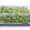 Frozen Green Beans Cut IQF Green Beans Cut Frozen 2-6 Green Beans Cut