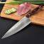 OEM/Wholesale Sandalwood Wood Handle 8 inch Chef Knife with Gift Box 67 Layer VG10 Damascus Steel Kitchen Knife