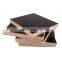 Waterproof black film faced plywood / construction shuttering plywood 1220 x 2440 x 18 mm