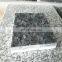 high quality natural honeycomb stone veneer