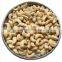 Cashew Kernels WW240 WW320 From Factory Hot price with high quality