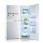 302L China Manufacturer Kitchen Appliance Defrost Double Door Fridge Keg Fridge