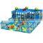 Ocean design Kids Play Center indoor playground equipment With Plastic slide
