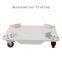 Angola Laboratory liquid nitrogen tank five-wheeled cart KGSQ