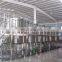 Tomato Paste Plant