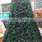 Rosewood Pine Silm Artificial Christmas tree with Commercial Lights