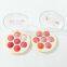 OEM/ODM Make up Blusher Powder Cheeks 7 Color Palette Facial Cosmetics Blusher Face Red Powder