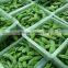 Frozen Soybean Pods, balanched IQF