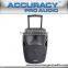 Heavy Duty Plastic Stage High Quality Amplified Speaker PMW15AR-V2BP-BT