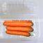 for vegetable packing mushroom plastic tray