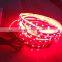 5630 Led Strip Light Waterproof 5M 300 Led Fleible String Light + 3A Power + 10key RF Remote Control Indoor Home Decoration
