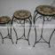 Plant Stands Indoor in Modern Minimalist Room Interior Plant Stands