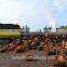 2016 new technology palm oil processing machines manufacturers
