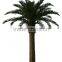 2015 Artificial 3-30m indoor or outdoor Canary Date Palm Tree,artificial tree,artificial plant