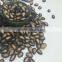 New Crop Chinese Musk Melon Seeds