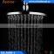 BL3608-1 Round Brass Nozzel Shower Mist Fall Skin Care Shower Head