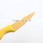 LFGB/FDA with high quality stainless steel paring knife