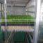 Hydroponics Animal Fodder Machine Green Feed Livestock Fodder sprout machine hydroponic fodder system
