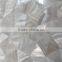 Freshwater shell mosaic irregular crazy pattern for interior decoration