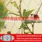 Hand-woven Stainless Steel Wire Rope Mesh for decoration or animal enclosure