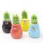 Factory direct sale pharaonic gifts DIY mini bonsai crystal glass gifts , strange gifts