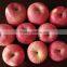 Red Color and Fuji Variety apple Fresh FUJI Apple
