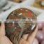 Natural rainbow ammonite fossils snail fossils specimen minerals