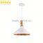 Industrial Iron Wire Cage Lighting Drop Loft Stage Lamp
