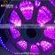 Factory cheap price cuttable tape strip single color /RGB flexible led strip lights 220v 12v 24v