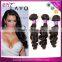 Cheap Unprocessed Malaysian Loose Wave Hair,Wavy Wholesale Virgin Malaysian Hair Weave,100% Malaysian Deep Curly Hair Extension