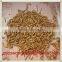 Golden Giant Yellow Dried Mealworm Bulk Pet Products