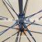 Big windproof outdoor double canopies golf umbrella