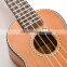 Aquila Strings Solid Cedar & Sapele Mahogany Neck Tenor Rosewood Fingerboard Aquila Strings Ukulele