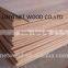 5.0mm cheap plywood from China plywood factory