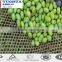 Olive Net Made In China from Factory
